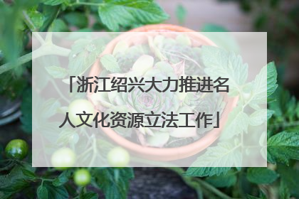 浙江绍兴大力推进名人文化资源立法工作