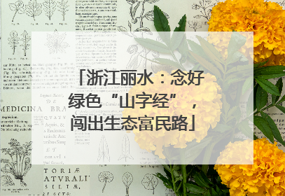浙江丽水：念好绿色“山字经”，闯出生态富民路