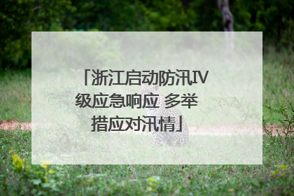 浙江启动防汛Ⅳ级应急响应 多举措应对汛情