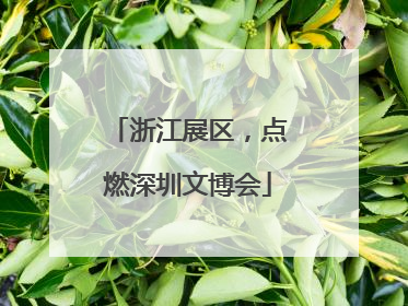 浙江展区，点燃深圳文博会