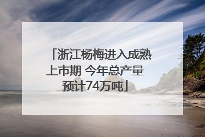 浙江杨梅进入成熟上市期 今年总产量预计74万吨