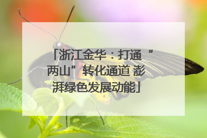 浙江金华：打通“两山”转化通道 澎湃绿色发展动能
