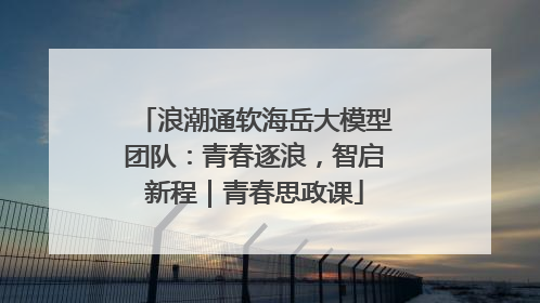 浪潮通软海岳大模型团队：青春逐浪，智启新程｜青春思政课