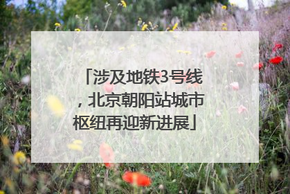 涉及地铁3号线，北京朝阳站城市枢纽再迎新进展