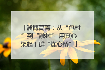 淄博高青：从“包村”到“融村” 用真心架起干群“连心桥”