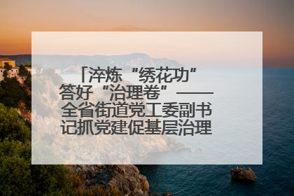 淬炼“绣花功” 答好“治理卷”——全省街道党工委副书记抓党建促基层治理培训示范班侧记