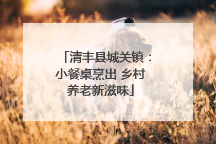 清丰县城关镇：小餐桌烹出 乡村养老新滋味