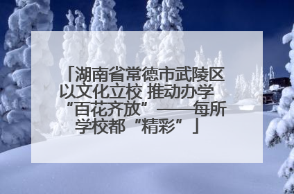 湖南省常德市武陵区以文化立校 推动办学“百花齐放”——每所学校都“精彩”