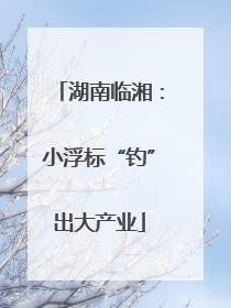 湖南临湘：小浮标“钓”出大产业