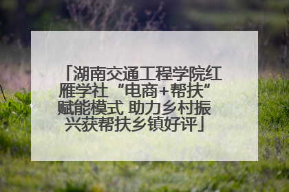 湖南交通工程学院红雁学社“电商+帮扶”赋能模式 助力乡村振兴获帮扶乡镇好评