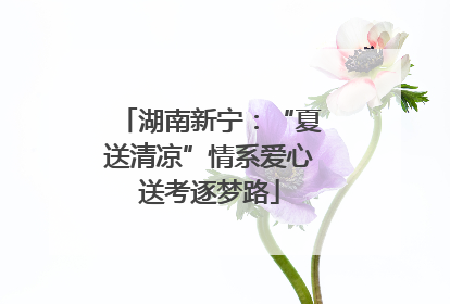 湖南新宁：“夏送清凉”情系爱心送考逐梦路
