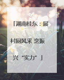 湖南桂东：展村厨风采 烹振兴“实力”