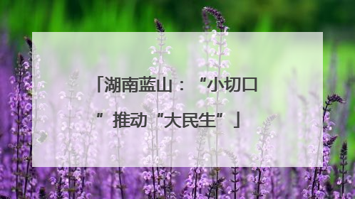 湖南蓝山：“小切口”推动“大民生”
