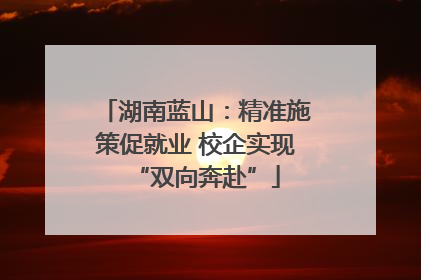 湖南蓝山：精准施策促就业 校企实现“双向奔赴”