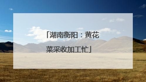 湖南衡阳：黄花菜采收加工忙
