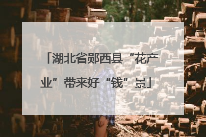 湖北省郧西县“花产业”带来好“钱”景
