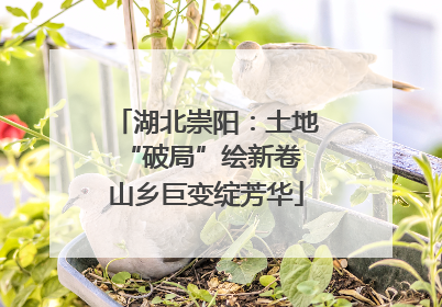 湖北崇阳：土地“破局”绘新卷 山乡巨变绽芳华