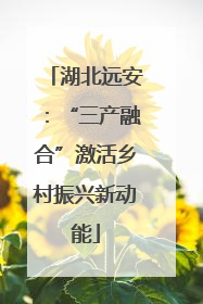 湖北远安：“三产融合”激活乡村振兴新动能