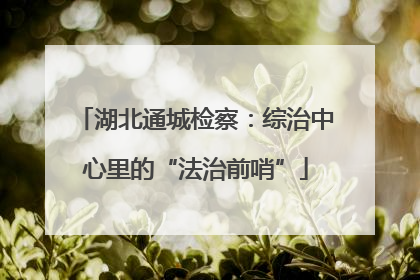 湖北通城检察：综治中心里的“法治前哨”