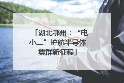 湖北鄂州：“电小二”护航半导体集群新征程