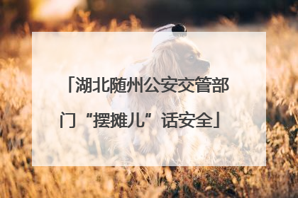 湖北随州公安交管部门“摆摊儿”话安全