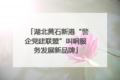 湖北黄石新港“警企党建联盟”叫响服务发展新品牌
