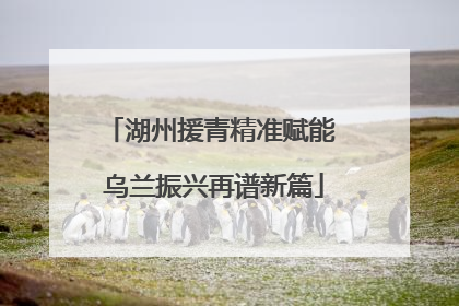 湖州援青精准赋能 乌兰振兴再谱新篇