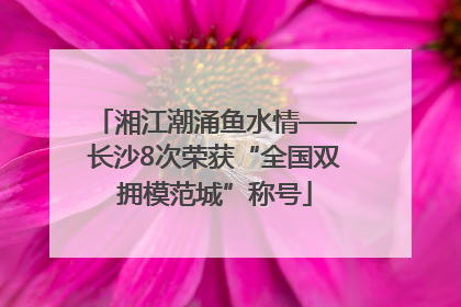 湘江潮涌鱼水情——长沙8次荣获“全国双拥模范城”称号