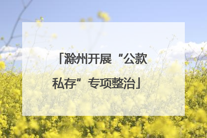 滁州开展“公款私存”专项整治