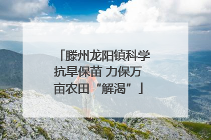 滕州龙阳镇科学抗旱保苗 力保万亩农田“解渴”