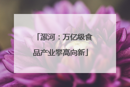 漯河：万亿级食品产业攀高向新