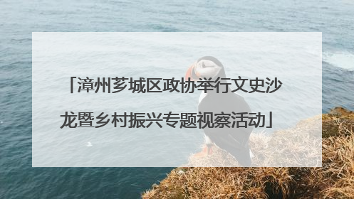 漳州芗城区政协举行文史沙龙暨乡村振兴专题视察活动