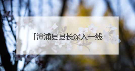 漳浦县县长深入一线调研荔枝产销工作