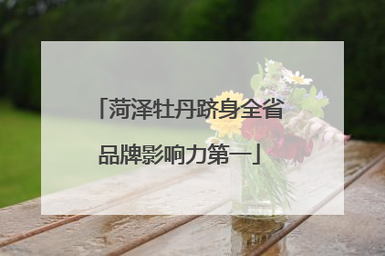 菏泽牡丹跻身全省品牌影响力第一