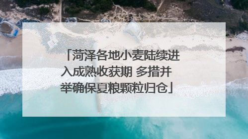 菏泽各地小麦陆续进入成熟收获期 多措并举确保夏粮颗粒归仓