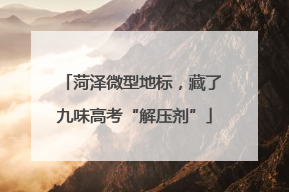 菏泽微型地标，藏了九味高考“解压剂”