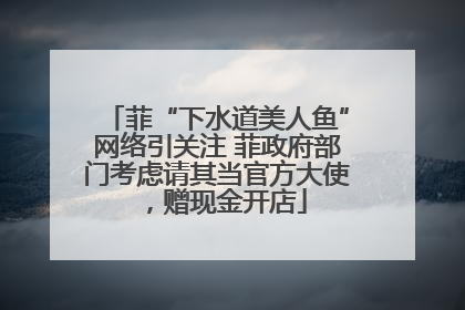 菲“下水道美人鱼”网络引关注 菲政府部门考虑请其当官方大使，赠现金开店