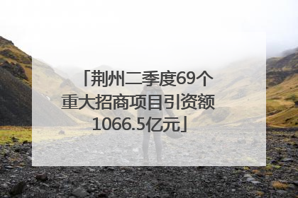 荆州二季度69个重大招商项目引资额1066.5亿元