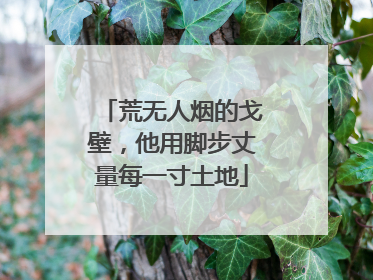 荒无人烟的戈壁，他用脚步丈量每一寸土地