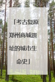 考古复原郑州商城遗址的城市生命史