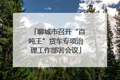 聊城市召开“百吨王”货车专项治理工作部署会议
