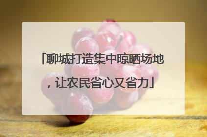 聊城打造集中晾晒场地，让农民省心又省力