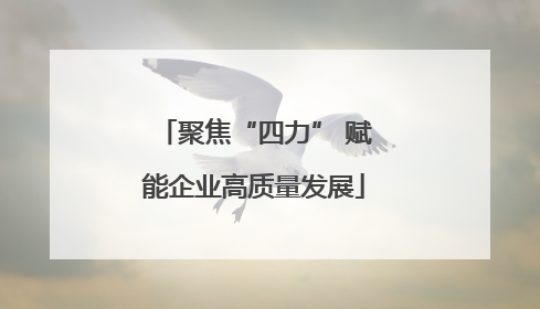 聚焦“四力” 赋能企业高质量发展