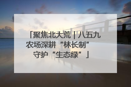聚焦北大荒｜八五九农场深耕“林长制” 守护“生态绿”