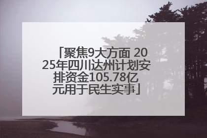 聚焦9大方面 2025年四川达州计划安排资金105.78亿元用于民生实事