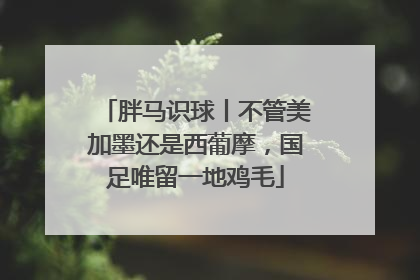 胖马识球丨不管美加墨还是西葡摩，国足唯留一地鸡毛