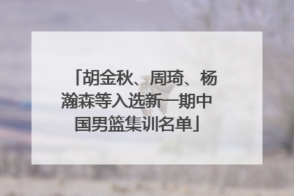 胡金秋、周琦、杨瀚森等入选新一期中国男篮集训名单