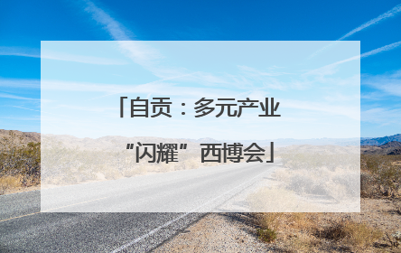 自贡：多元产业“闪耀”西博会