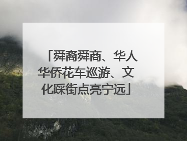 舜裔舜商、华人华侨花车巡游、文化踩街点亮宁远
