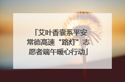 艾叶香囊系平安 常德高速“路灯”志愿者端午暖心行动